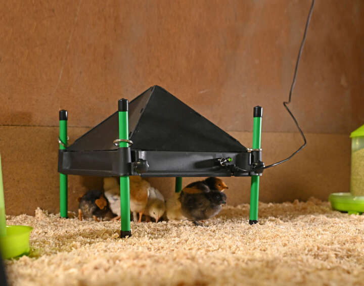 KERBL Schutzabdeckung für Wärmeplatte CosyHeat